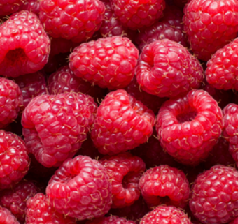 Framboises, gadelles, groseilles bio