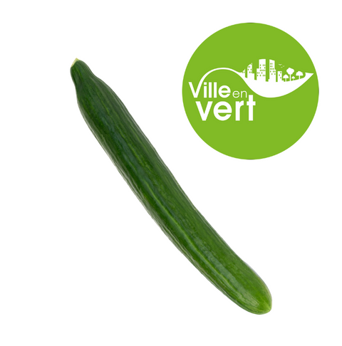 Concombre anglais bio