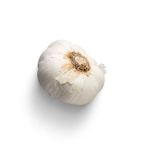 Ail du Québec (tige) mams