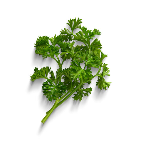 Fines herbes bio