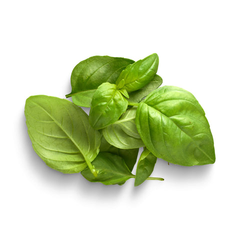 Fines herbes bio