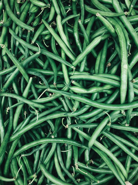 Haricots bio