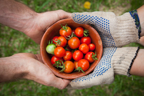 6 trucs pour manger des fruits et des légumes locaux toute l’année !