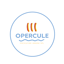 Opercule