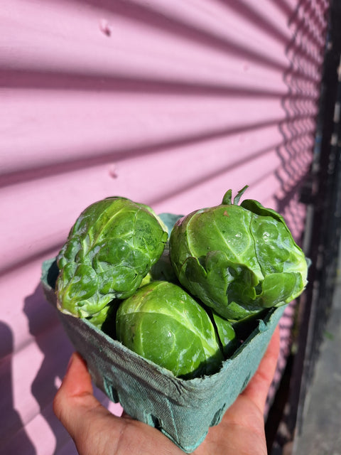 Organic Brussels sprouts