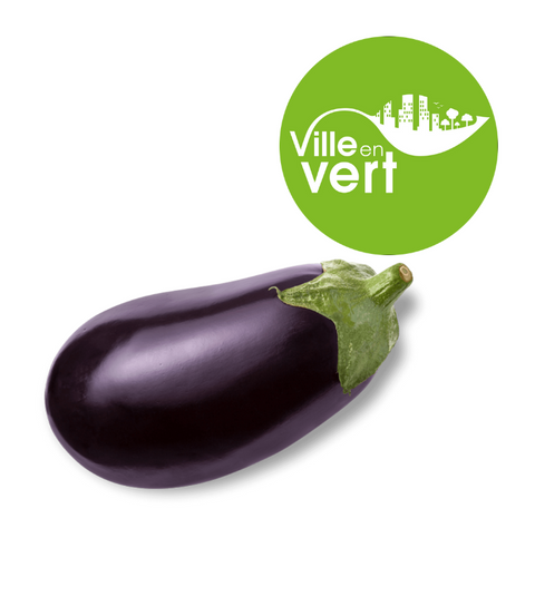 Aubergine bio