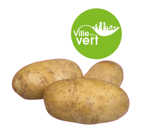 Patate bio "Pomme de terre"