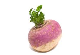 Navet/rutabaga  Bio