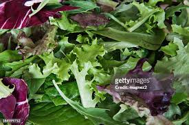 Mesclun bio