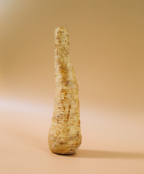 Parsnip 