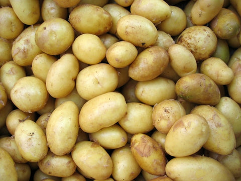 Patate sac de 10lbs "pomme de terre"