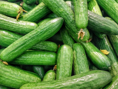 English cucumber 