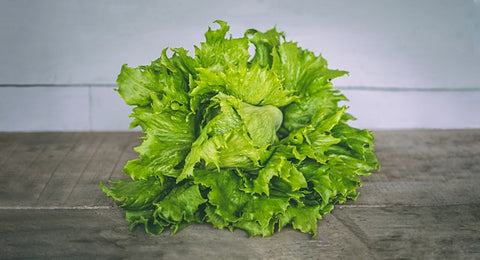 Laitue Romaine unité (salade)