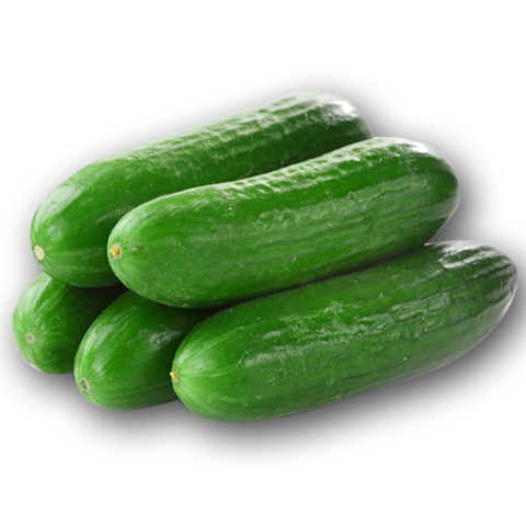 Lebanese Cucumber