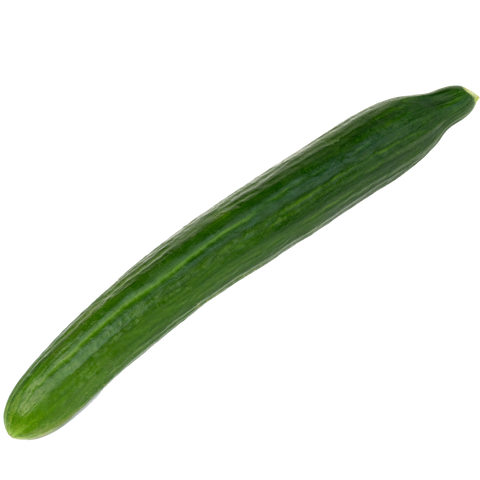 English cucumber 